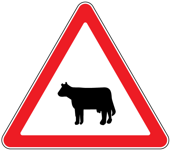 1.24.1 Animale - sector de drum pe care este posibilă apariţia animalelor.