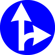 4.1.5 Direcție obligatorie de deplasare