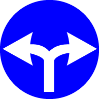 4.1.7 Direcție obligatorie de deplasare